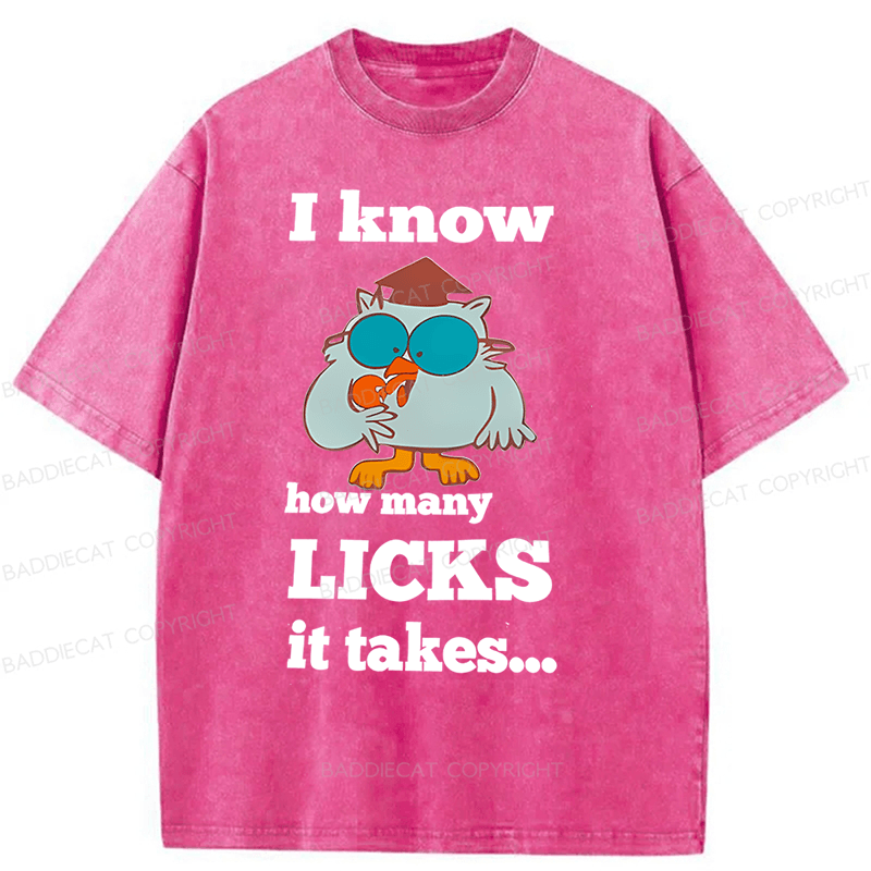 Baddiecat I Know How Many Licks It Takes Washed T-Shirt