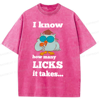 Baddiecat I Know How Many Licks It Takes Washed T-Shirt