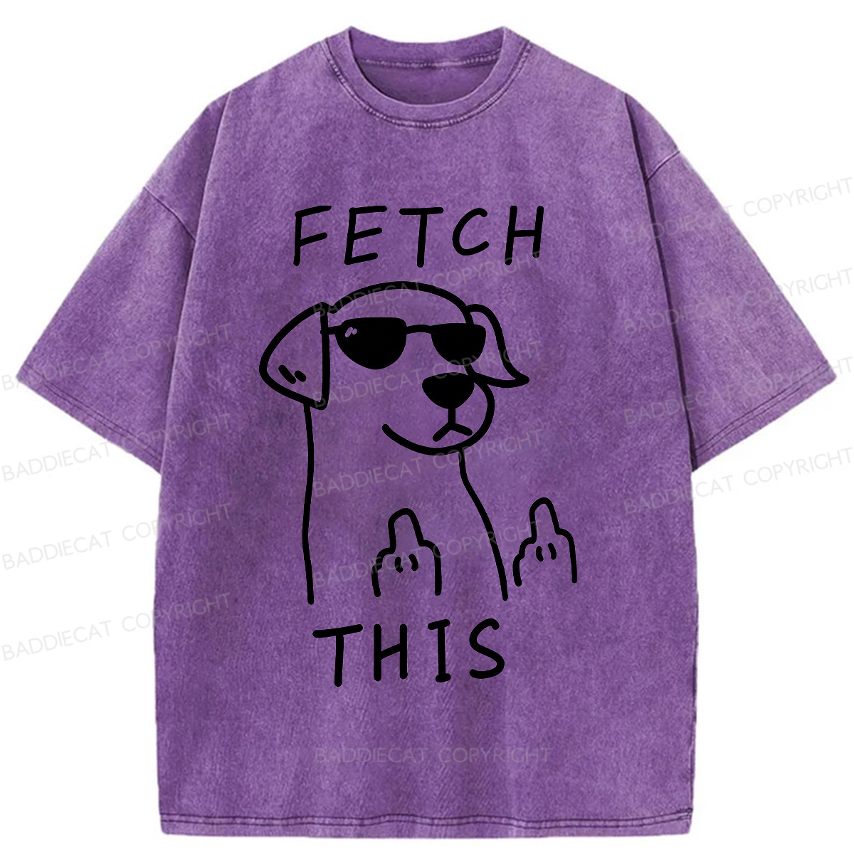 Baddiecat Fetch This Dog Washed T-shirt