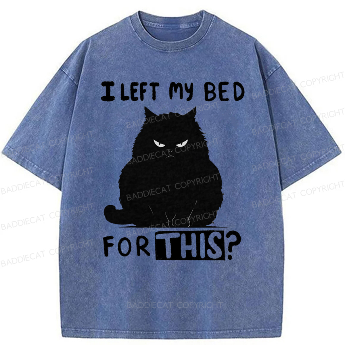 Baddiecat I Left My Bed For This Washed T-shirt