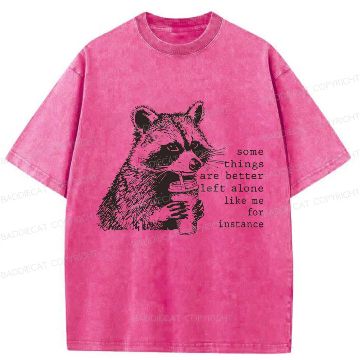 Baddiecat Retro Some Things Are Better Left Alone Raccoon Washed T-shirt