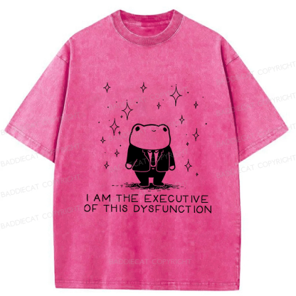 Baddiecat I Am The Executive Of This Dysfunction Washed T-shirt