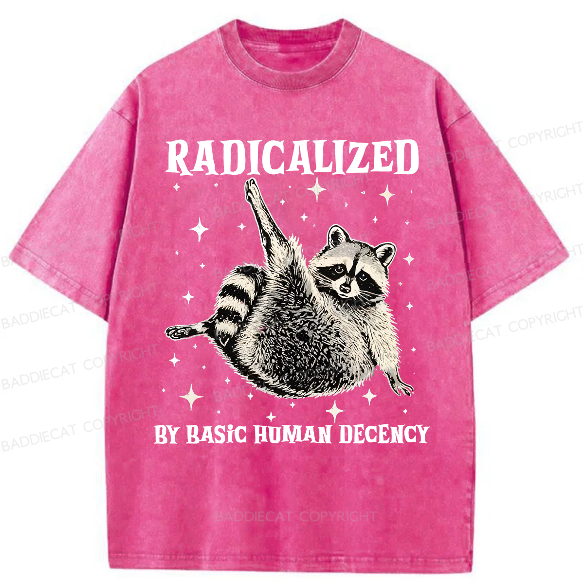 Baddiecat Radicalized By Basic Decency Raccoon Washed T-shirt