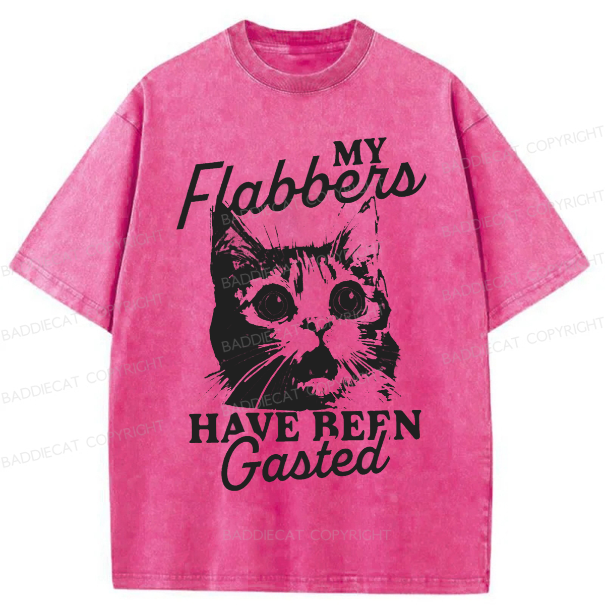 Baddiecat My Flabbers Have Been Gasted Humor Washed T-shirt