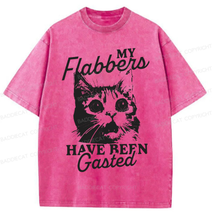Baddiecat My Flabbers Have Been Gasted Humor Washed T-shirt