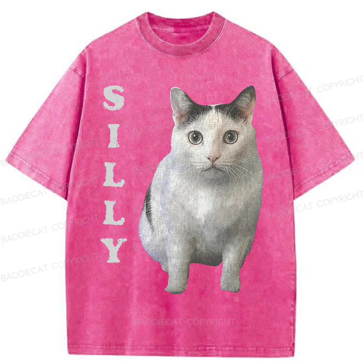 Baddiecat Silly Cat Washed T-shirt