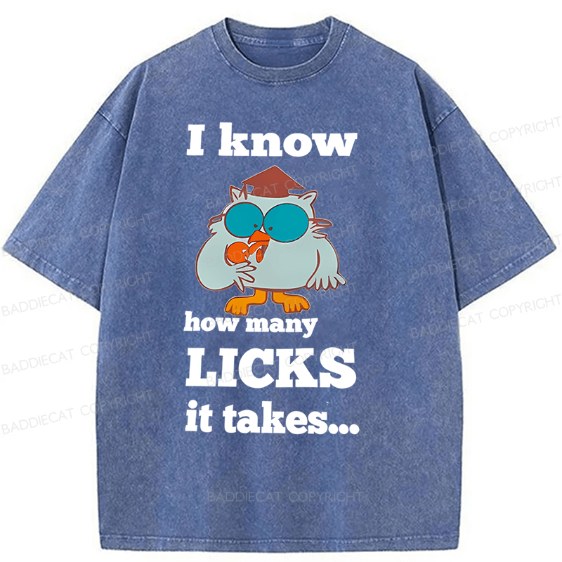 Baddiecat I Know How Many Licks It Takes Washed T-Shirt