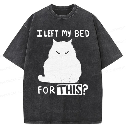 Baddiecat I Left My Bed For This Washed T-shirt