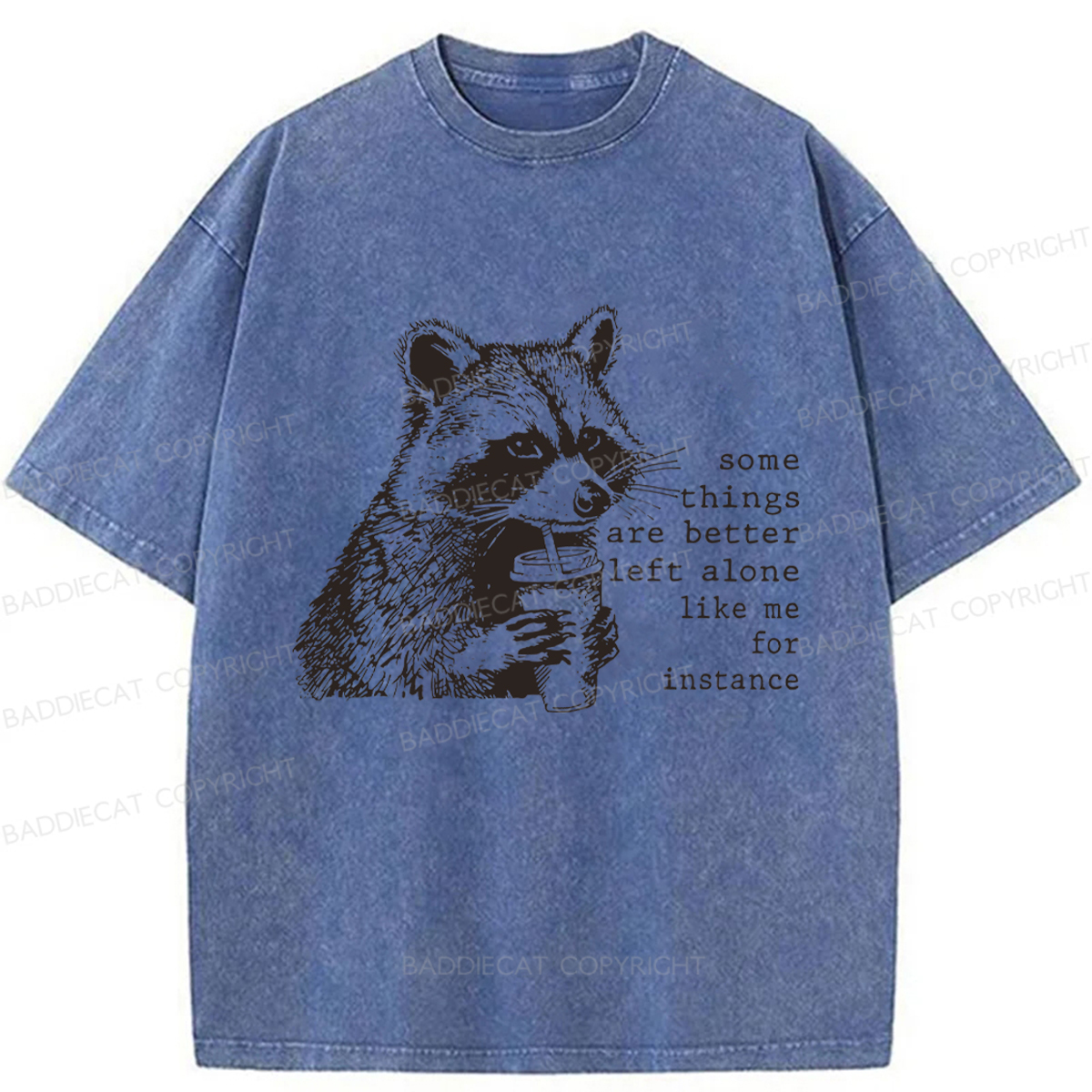 Baddiecat Retro Some Things Are Better Left Alone Raccoon Washed T-shirt
