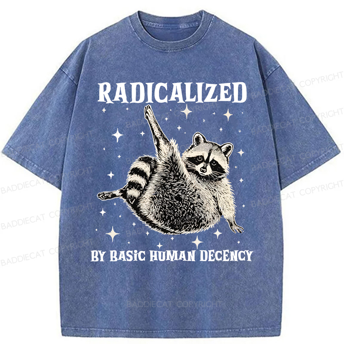 Baddiecat Radicalized By Basic Decency Raccoon Washed T-shirt