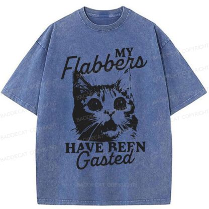 Baddiecat My Flabbers Have Been Gasted Humor Washed T-shirt