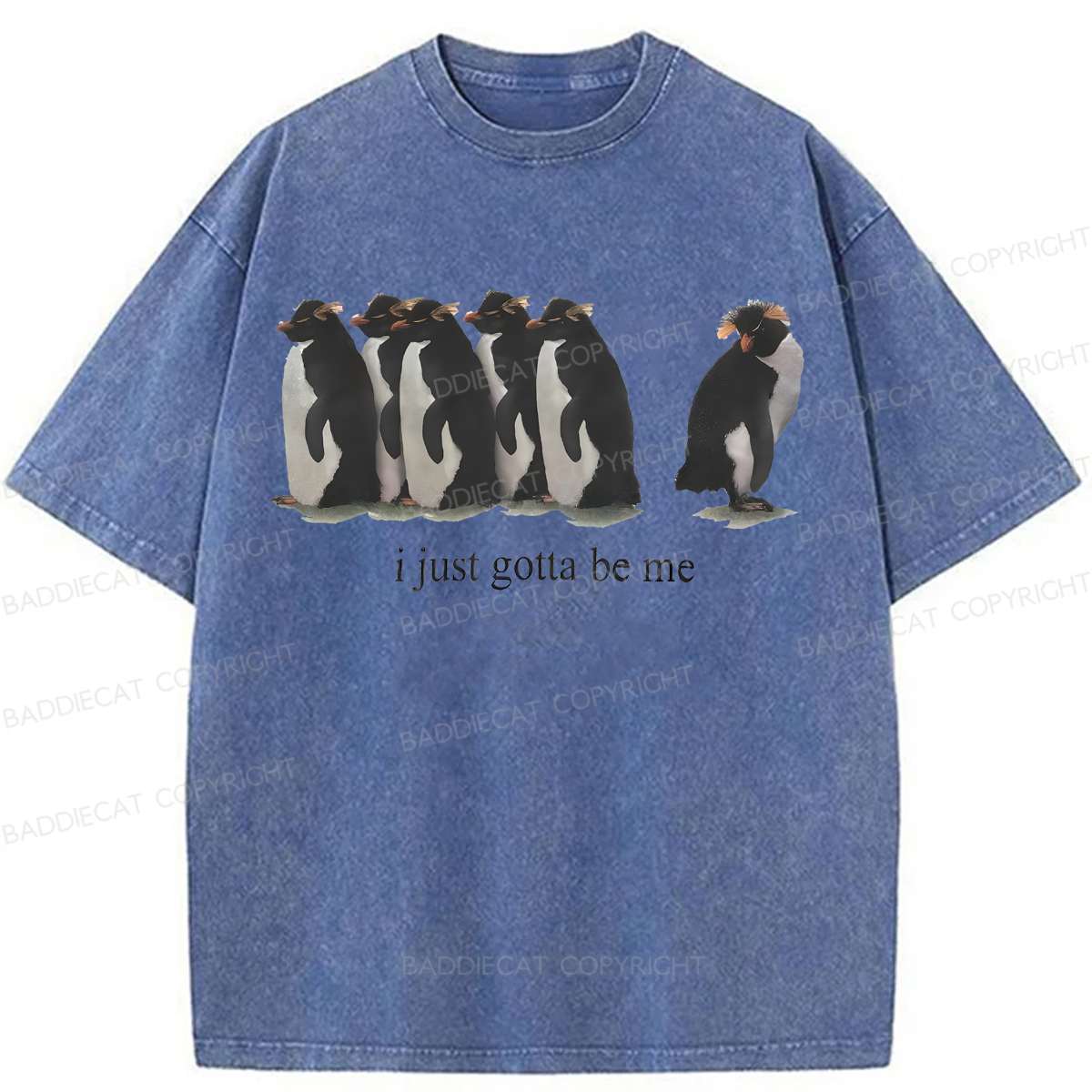 Baddiecat I Just Gotta Be Me Penguins Washed T-shirt