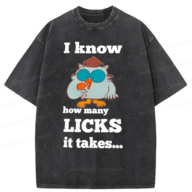 Baddiecat I Know How Many Licks It Takes Washed T-Shirt