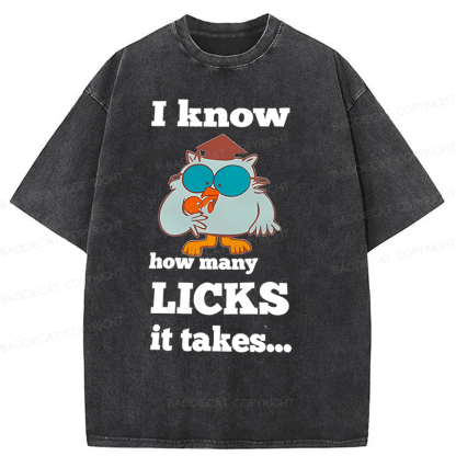 Baddiecat I Know How Many Licks It Takes Washed T-Shirt