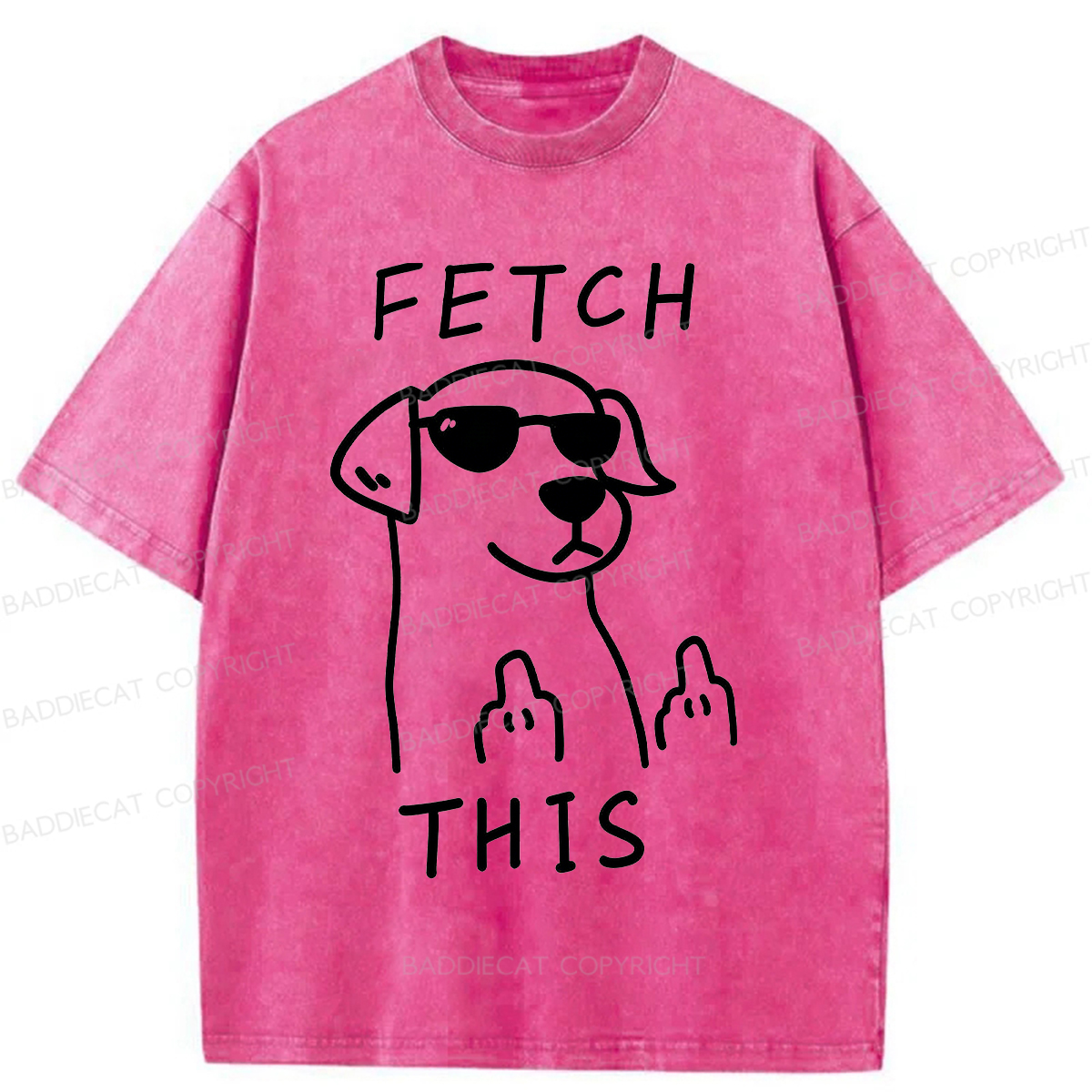 Baddiecat Fetch This Dog Washed T-shirt