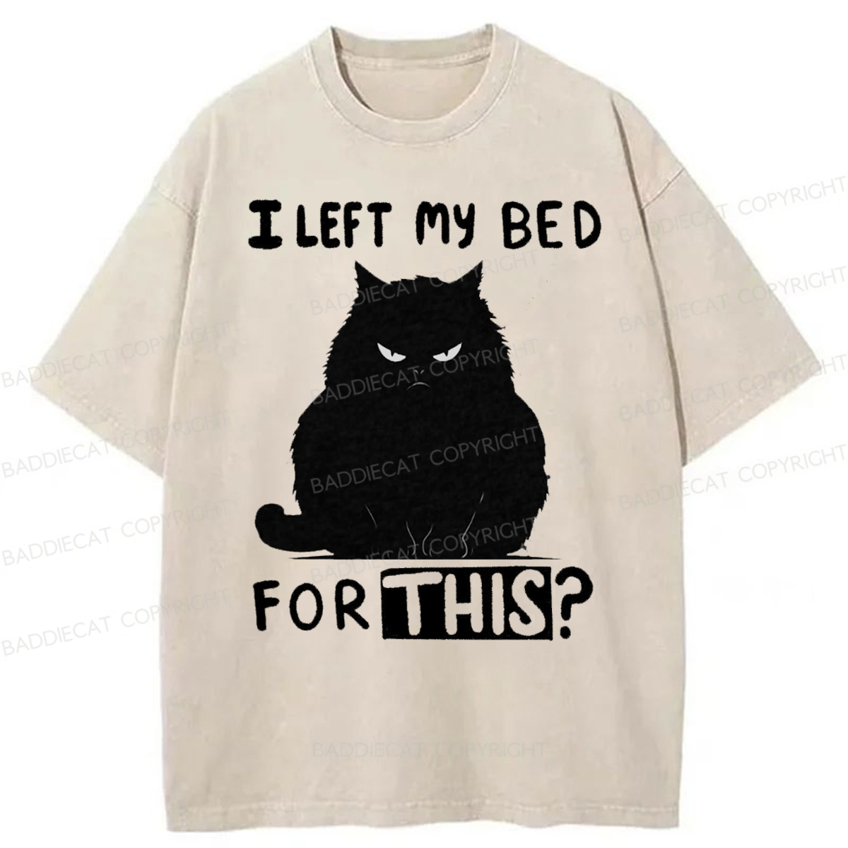 Baddiecat I Left My Bed For This Washed T-shirt