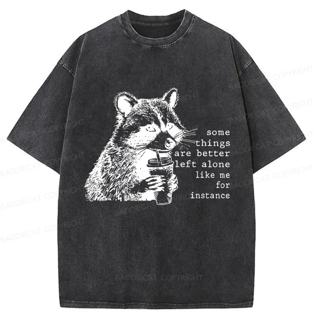 Baddiecat Retro Some Things Are Better Left Alone Raccoon Washed T-shirt