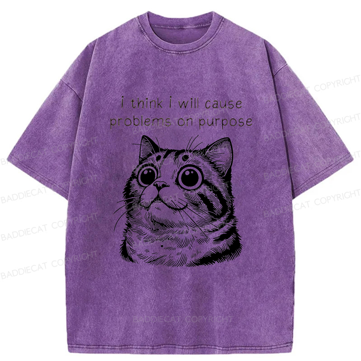 Baddiecat Innocent Cat Washed T-shirt