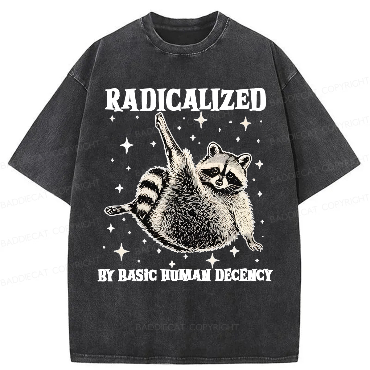 Baddiecat Radicalized By Basic Decency Raccoon Washed T-shirt