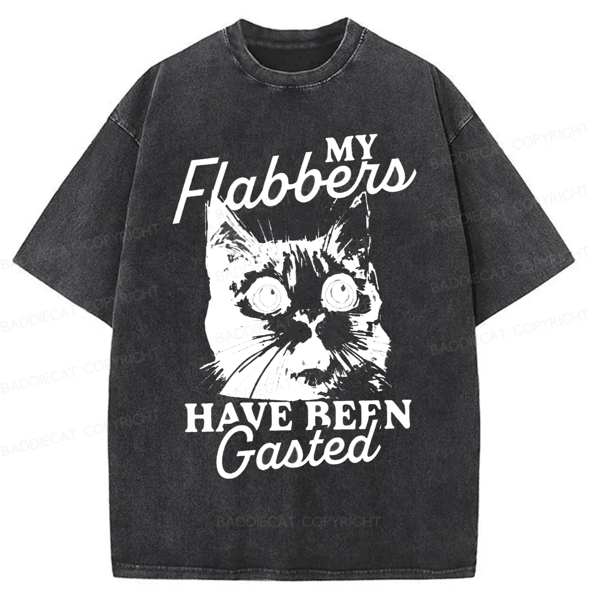 Baddiecat My Flabbers Have Been Gasted Humor Washed T-shirt