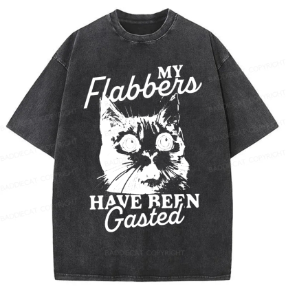 Baddiecat My Flabbers Have Been Gasted Humor Washed T-shirt