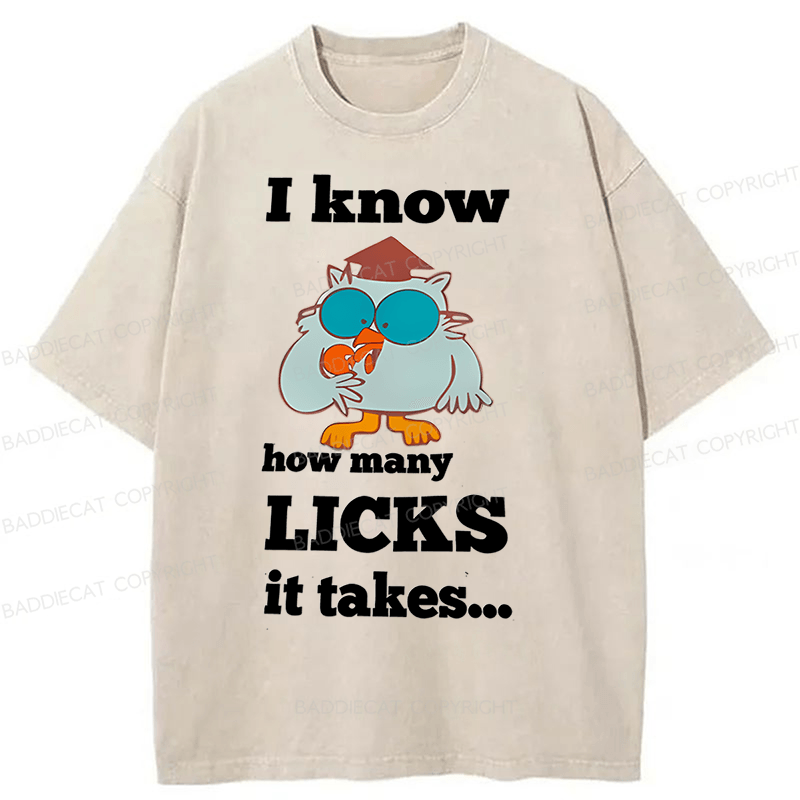 Baddiecat I Know How Many Licks It Takes Washed T-Shirt