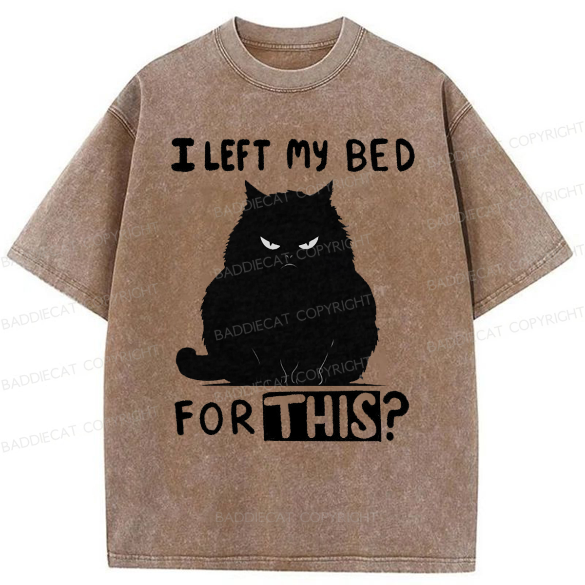 Baddiecat I Left My Bed For This Washed T-shirt