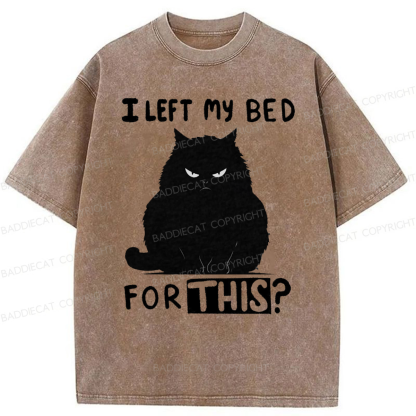 Baddiecat I Left My Bed For This Washed T-shirt