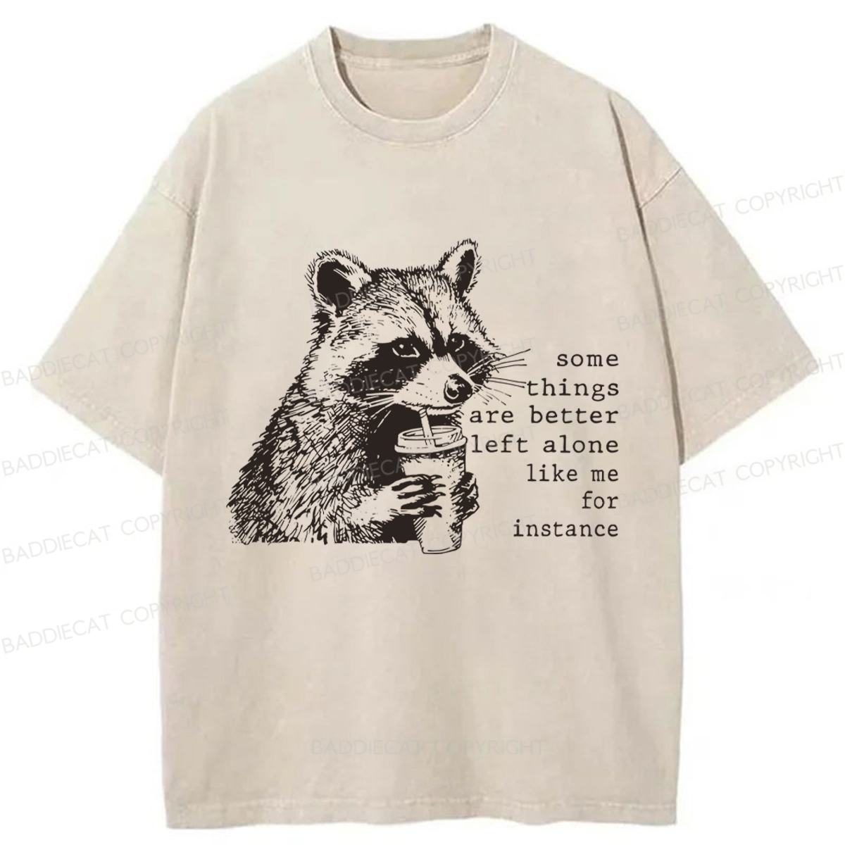 Baddiecat Retro Some Things Are Better Left Alone Raccoon Washed T-shirt