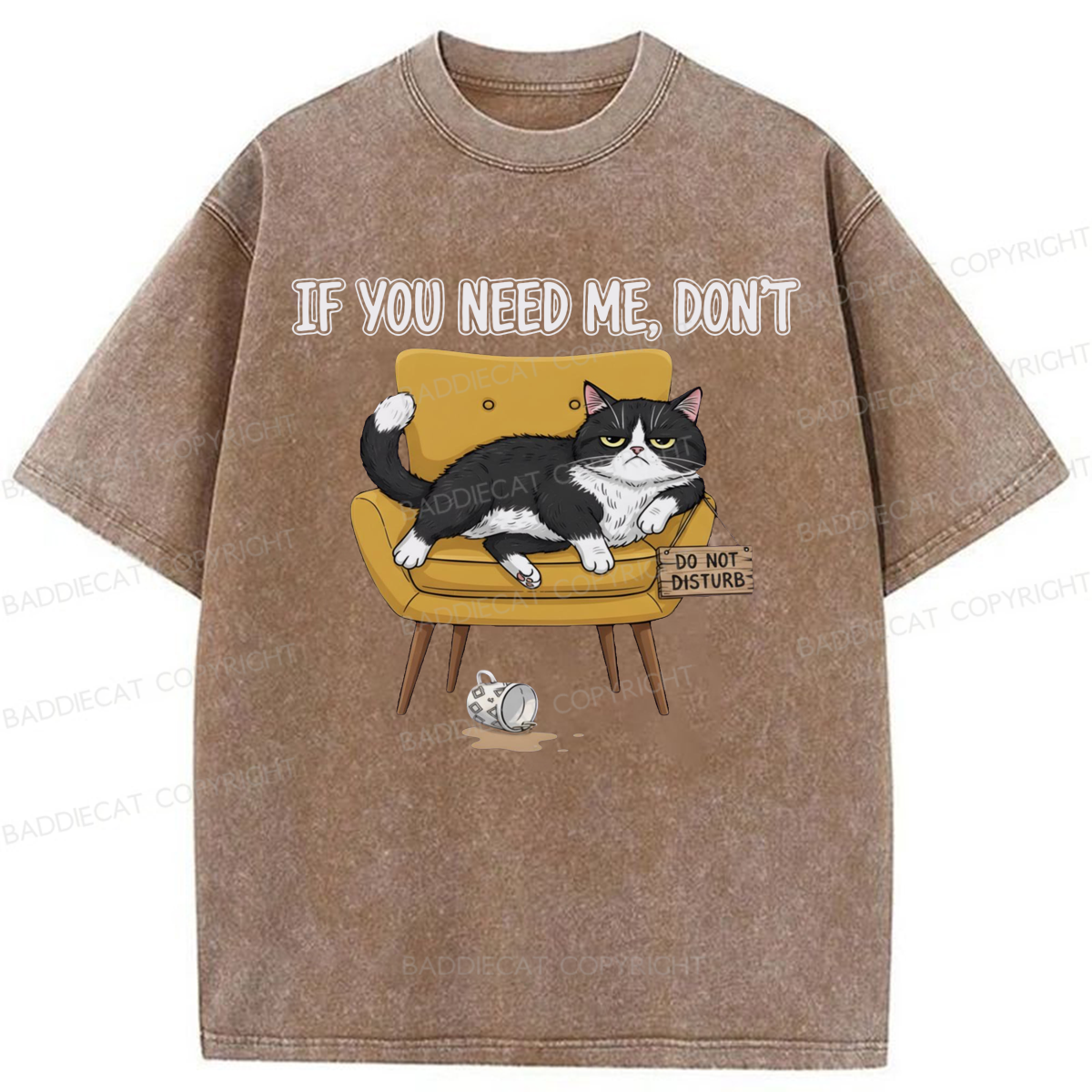 Baddiecat If You Need Me Washed T-shirt