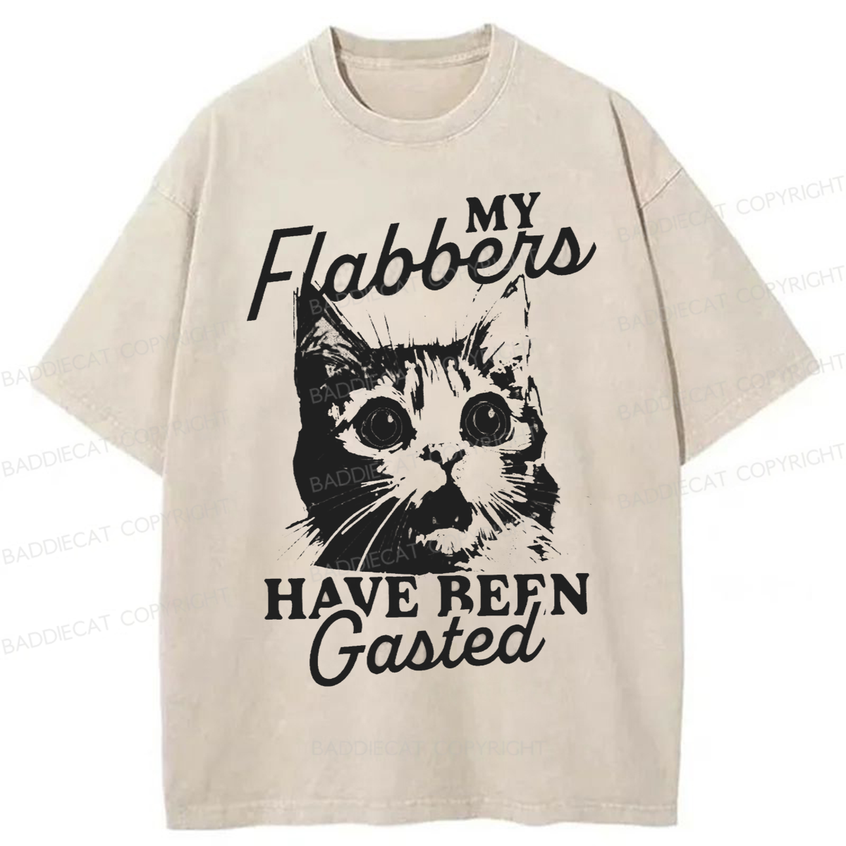 Baddiecat My Flabbers Have Been Gasted Humor Washed T-shirt