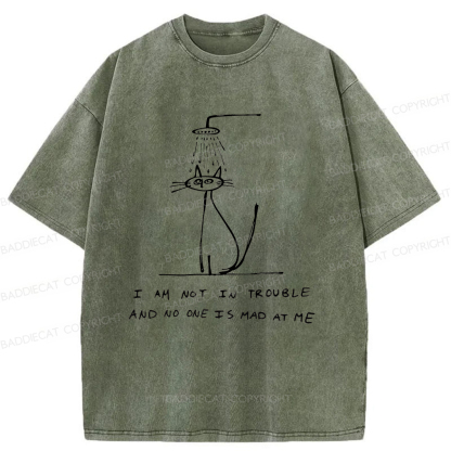 Baddiecat A Sad Cat Alone Washed T-shirt
