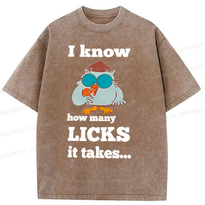 Baddiecat I Know How Many Licks It Takes Washed T-Shirt