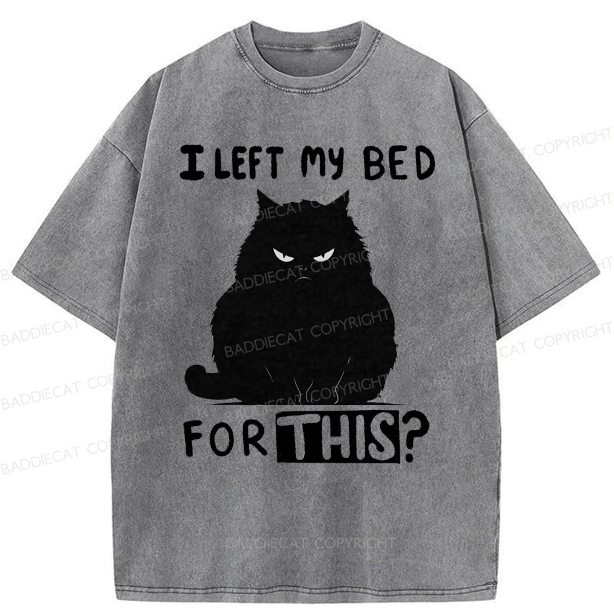 Baddiecat I Left My Bed For This Washed T-shirt