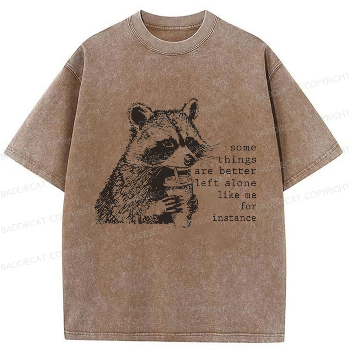 Baddiecat Retro Some Things Are Better Left Alone Raccoon Washed T-shirt