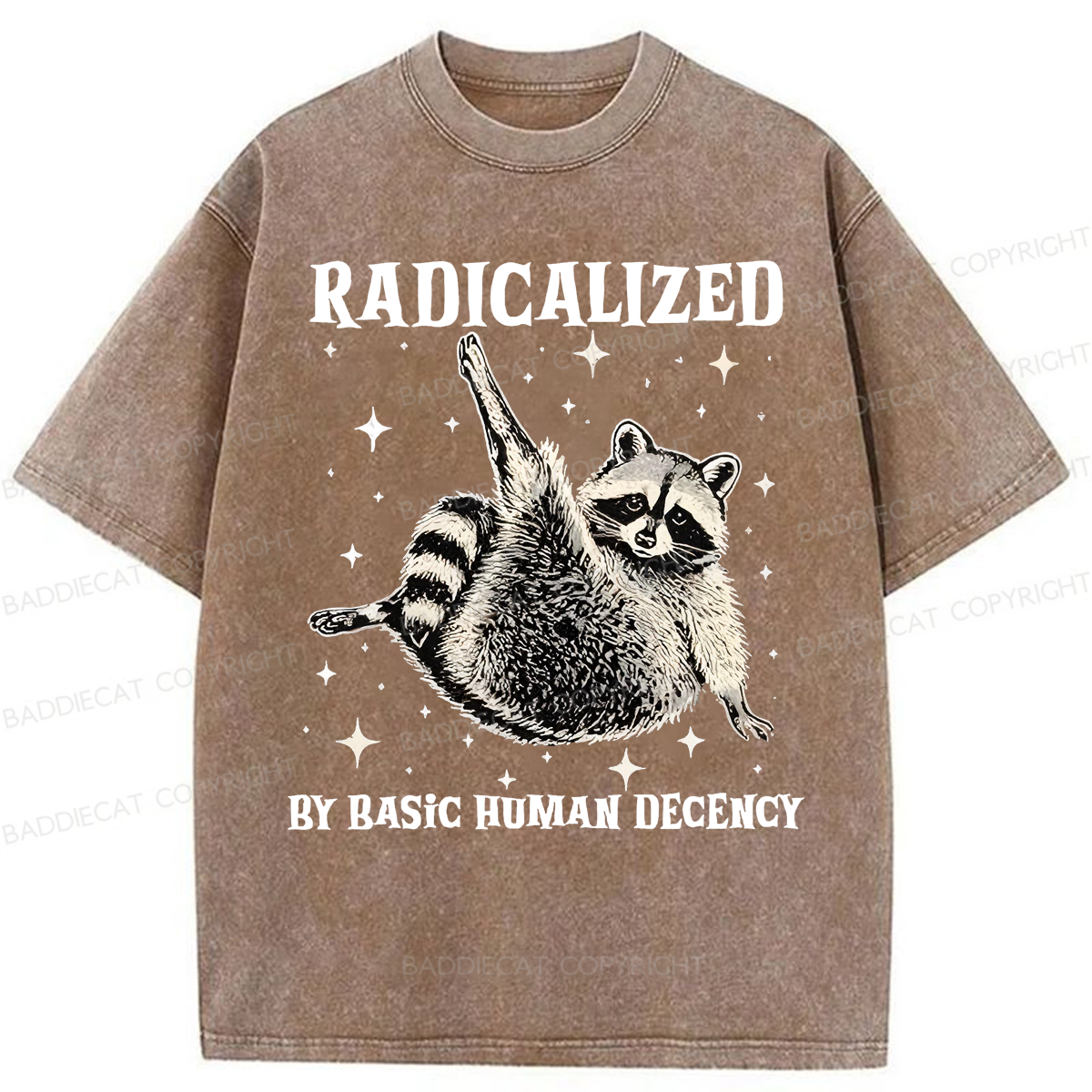Baddiecat Radicalized By Basic Decency Raccoon Washed T-shirt