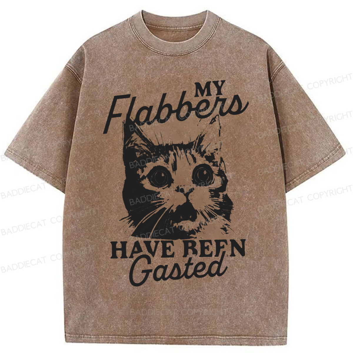 Baddiecat My Flabbers Have Been Gasted Humor Washed T-shirt