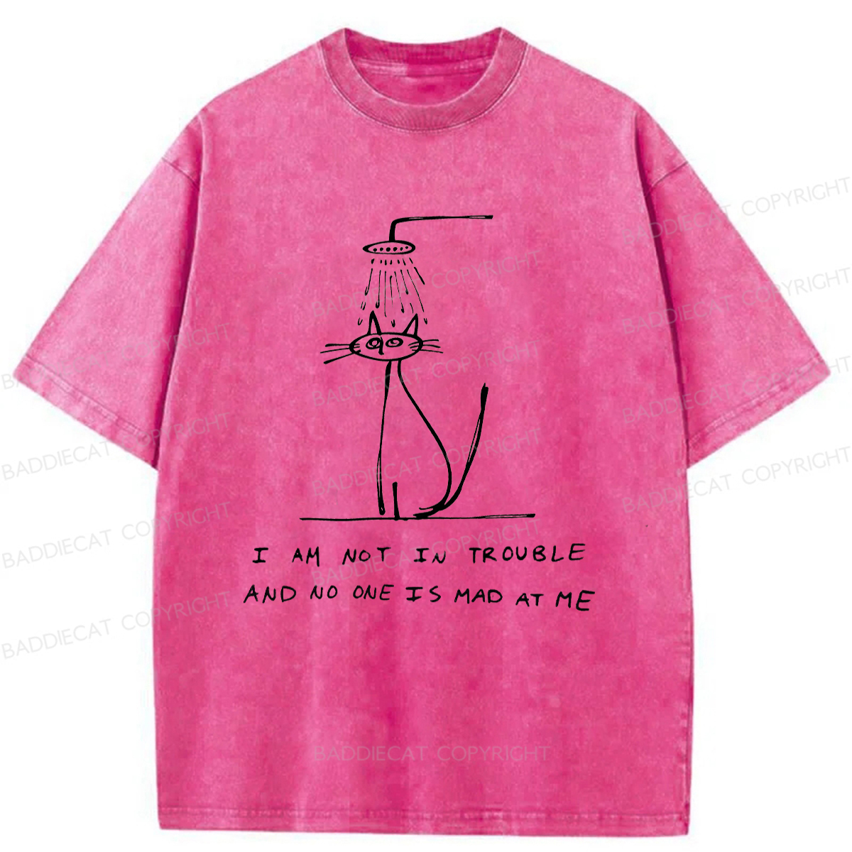 Baddiecat A Sad Cat Alone Washed T-shirt