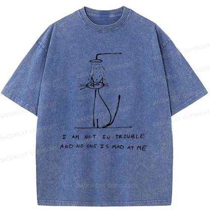 Baddiecat A Sad Cat Alone Washed T-shirt