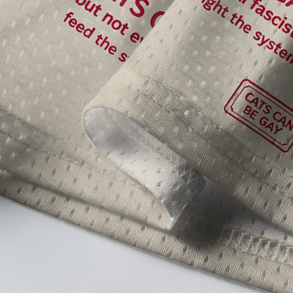 Baddiecat Cat Can Be Gay Lgbt Mesh Jersey