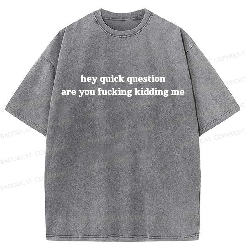 Baddiecat Hey Quick Question Are You Fucking Kidding Me Washed T-shirt