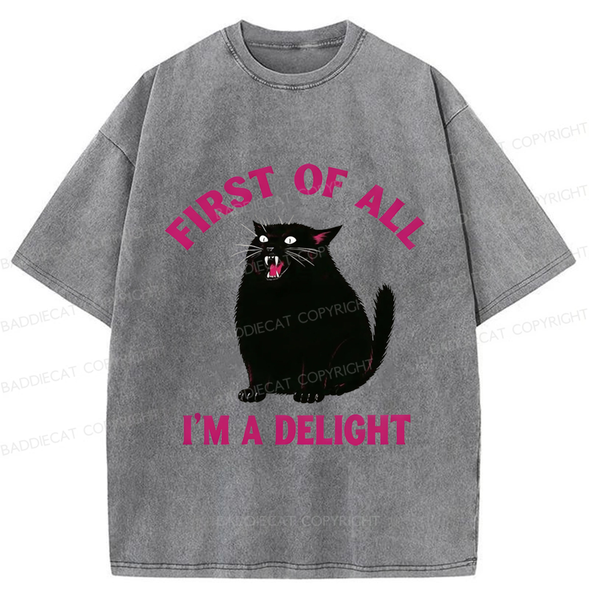 Baddiecat Funny Cat Washed T-shirt
