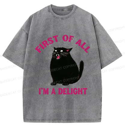 Baddiecat Funny Cat Washed T-shirt