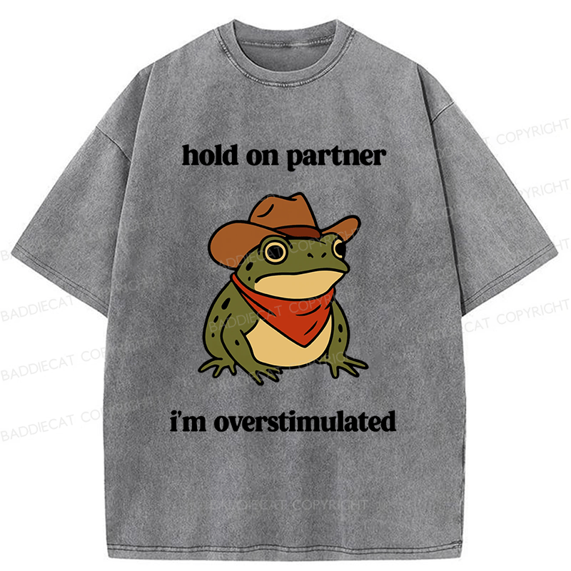 Baddiecat Hold On Partner I'm Overstimulated Frog Washed T-shirt