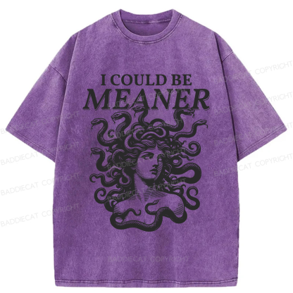 Baddiecat I Could Be Meaner Washed T-shirt