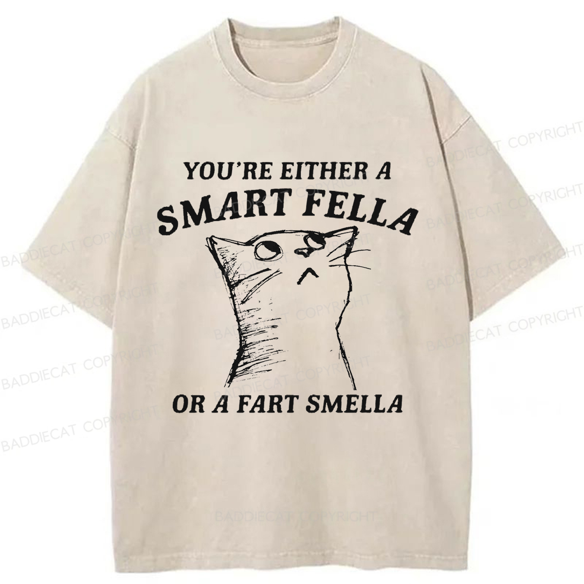 Baddiecat Disdain Cats Washed T-shirt