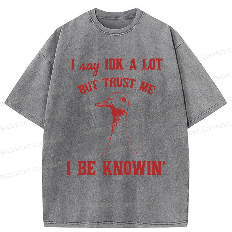 Baddiecat I Say IDK A Lot But Trust Me I Be Knowing  Washed T-shirt