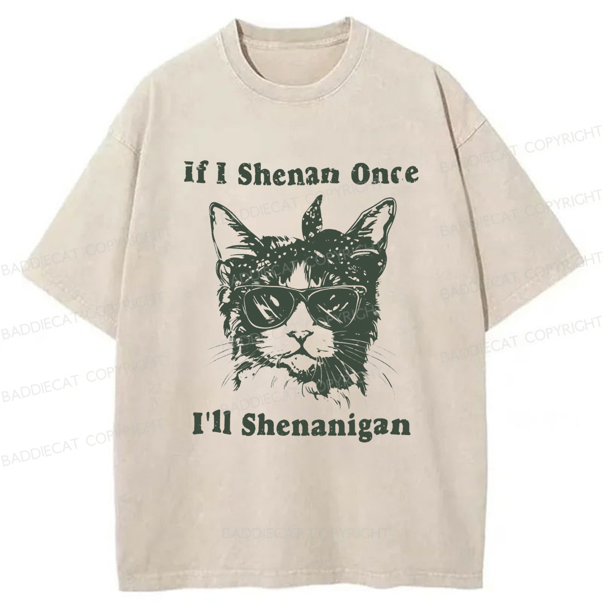 Baddiecat If I Shenan Once I'll Shenanigan Washed T-shirt