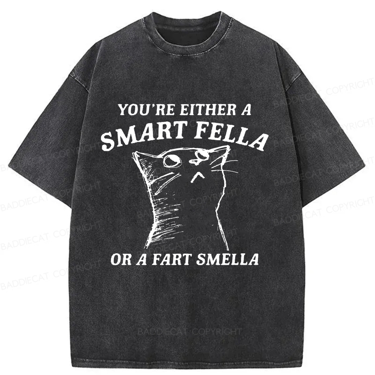 Baddiecat Disdain Cats Washed T-shirt