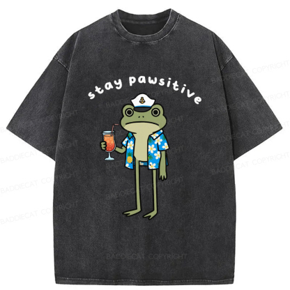 Baddiecat Optimistic Frog Washed T-shirt